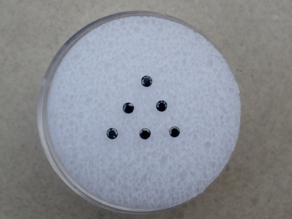 6 Black diamond loose rounds 1.5mm each