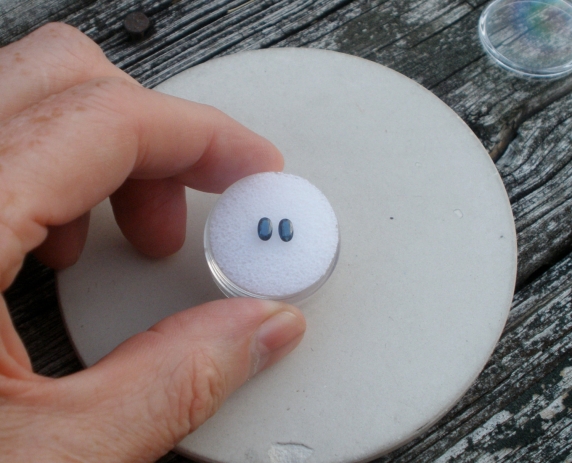 Blue sapphire oval gem pair 5x3mm each