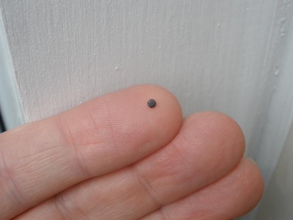 Black diamond loose round 2mm