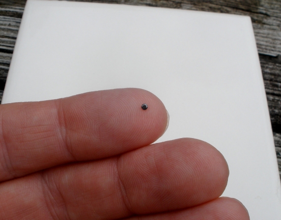 Black diamond loose round 1.5mm