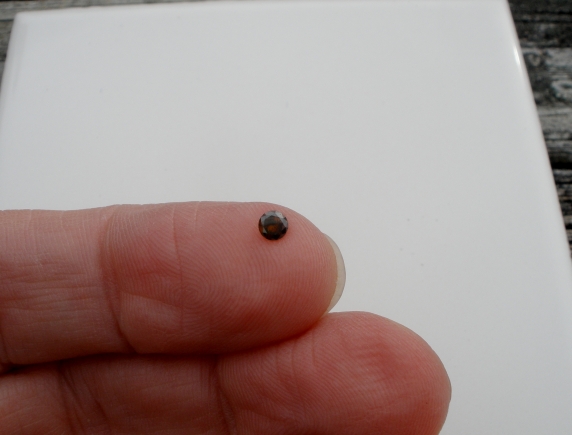 3.5mm cognac red diamond loose round 0.18 carat
