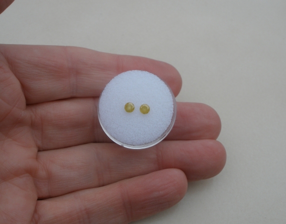 Yellow diamond round pair 3.6mm each