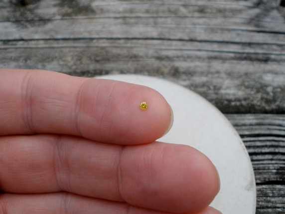Yellow diamond loose round 2mm