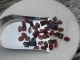 Over 25 Carats of Loose Natural Red Garnet Gem Mix