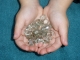 Over 50 Carats of Loose Natural Green Amethyst Gem Mix Over 50 Carats of Loose Natural Green Amethyst Gem Mix