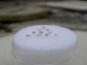 10 Champagne diamond loose rounds 1.5mm each