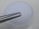 Pink Sapphire Round Loose Natural Gem 2mm Pink Sapphire Round Loose Natural Gem 2mm