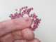 Burmese Pink Red Natural Ruby 0val 5x3mm