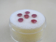 6 Discount Round Ruby Natural Gems 4mm Each