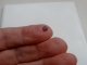 Garnet round shape gem 4mm Garnet round shape gem 4mm
